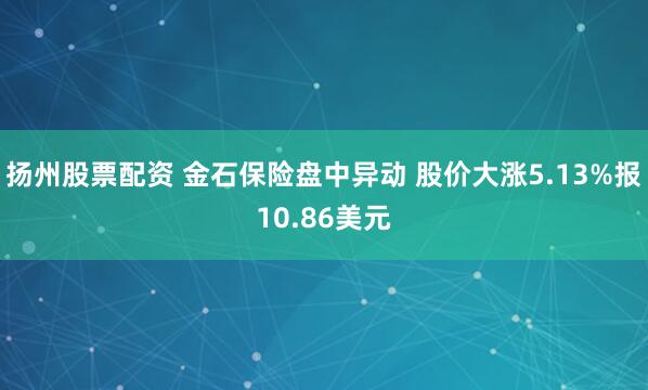 扬州股票配资 金石保险盘中异动 股价大涨5.13%报10.86美元