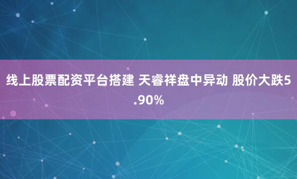 线上股票配资平台搭建 天睿祥盘中异动 股价大跌5.90%
