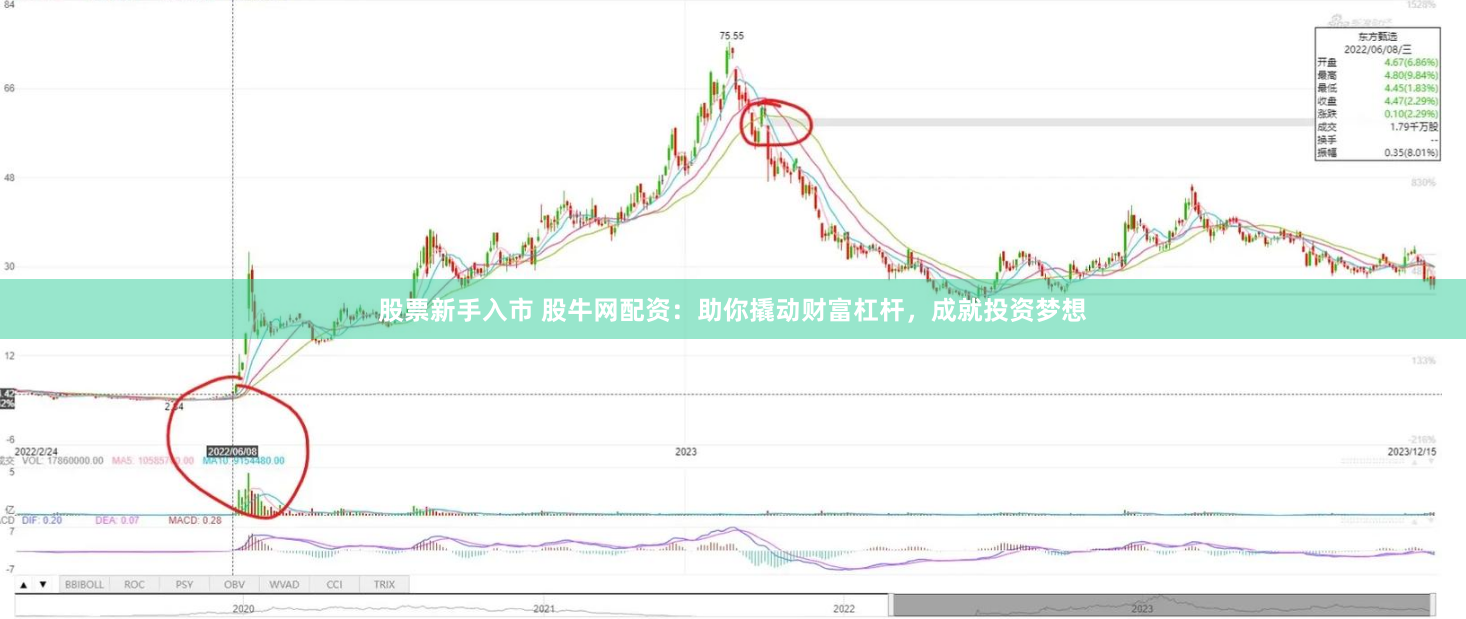 股票新手入市 股牛网配资：助你撬动财富杠杆，成就投资梦想